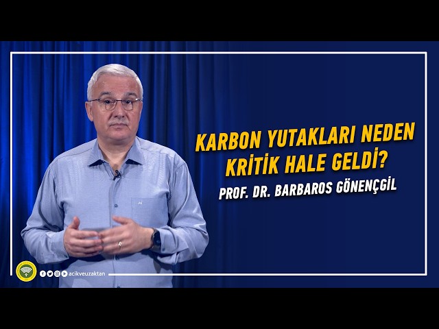 KARBON YUTAKLARI NEDEN KRİTİK HALE GELDİ?